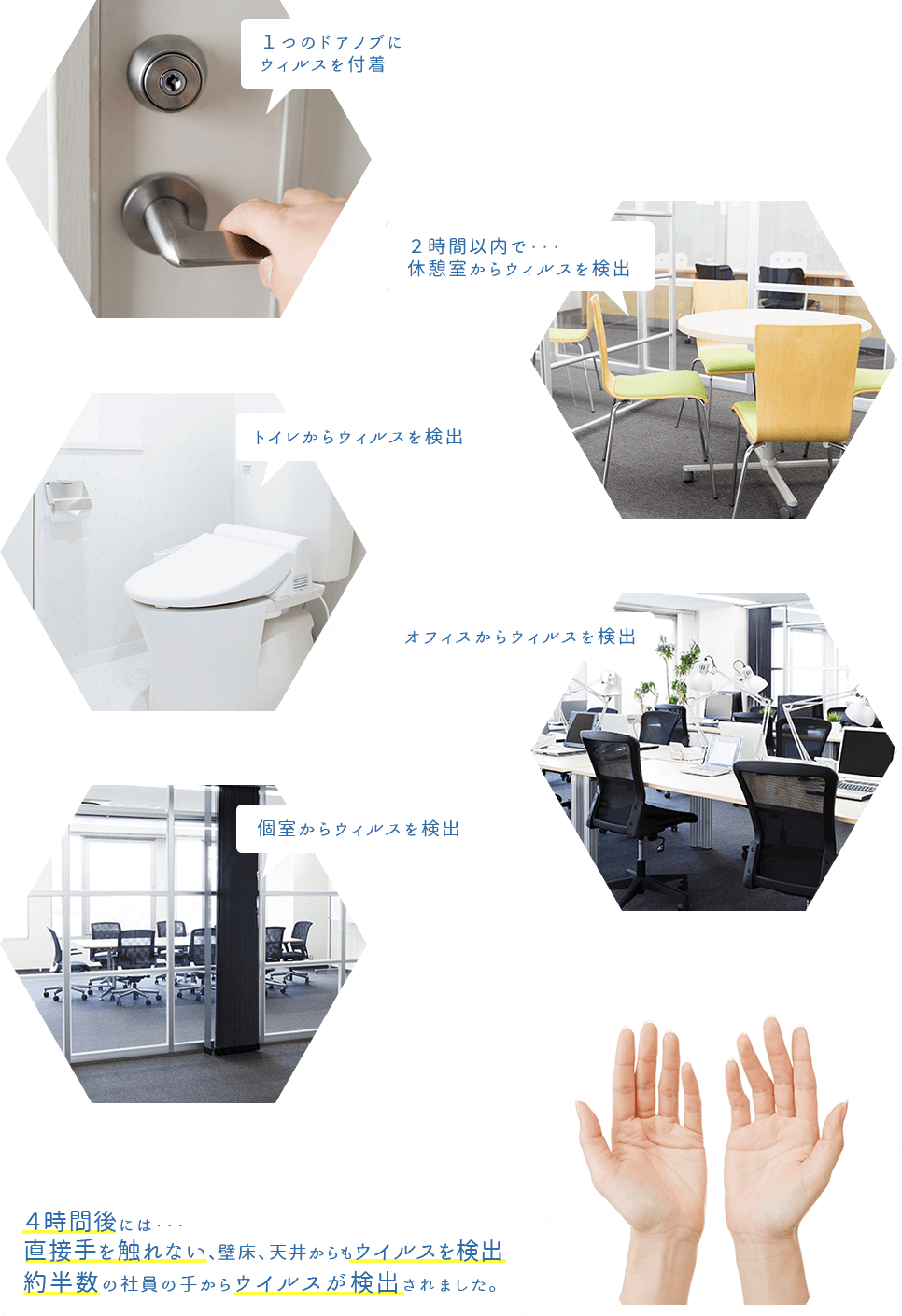 １つのドアノブにウィルスを付着 ２時間以内で・・・休憩室からウィルスを検出 トイレからウィルスを検出 オフィスからウィルスを検出 個室からウィルスを検出 ４時間後には・・・直接手を触れない、壁床、天井からもウイルスを検出約半数の社員の手からウイルスが検出されました。